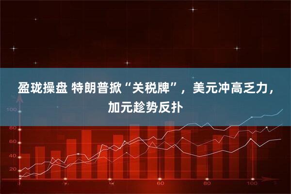 盈珑操盘 特朗普掀“关税牌”，美元冲高乏力，加元趁势反扑