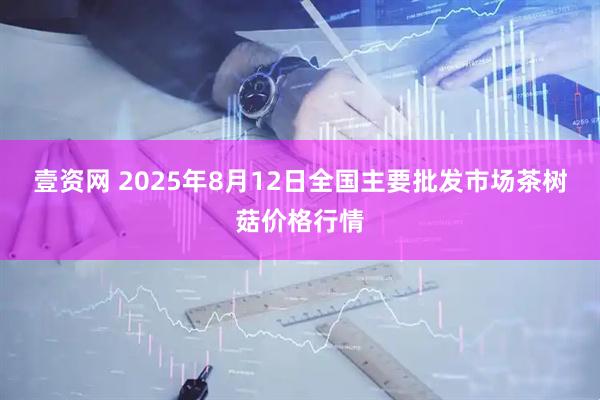 壹资网 2025年8月12日全国主要批发市场茶树菇价格行情