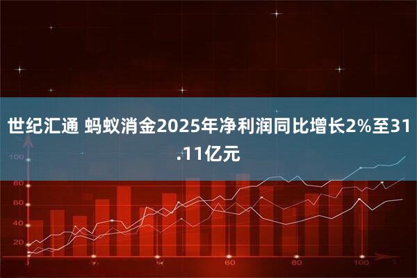 世纪汇通 蚂蚁消金2025年净利润同比增长2%至31.11亿元
